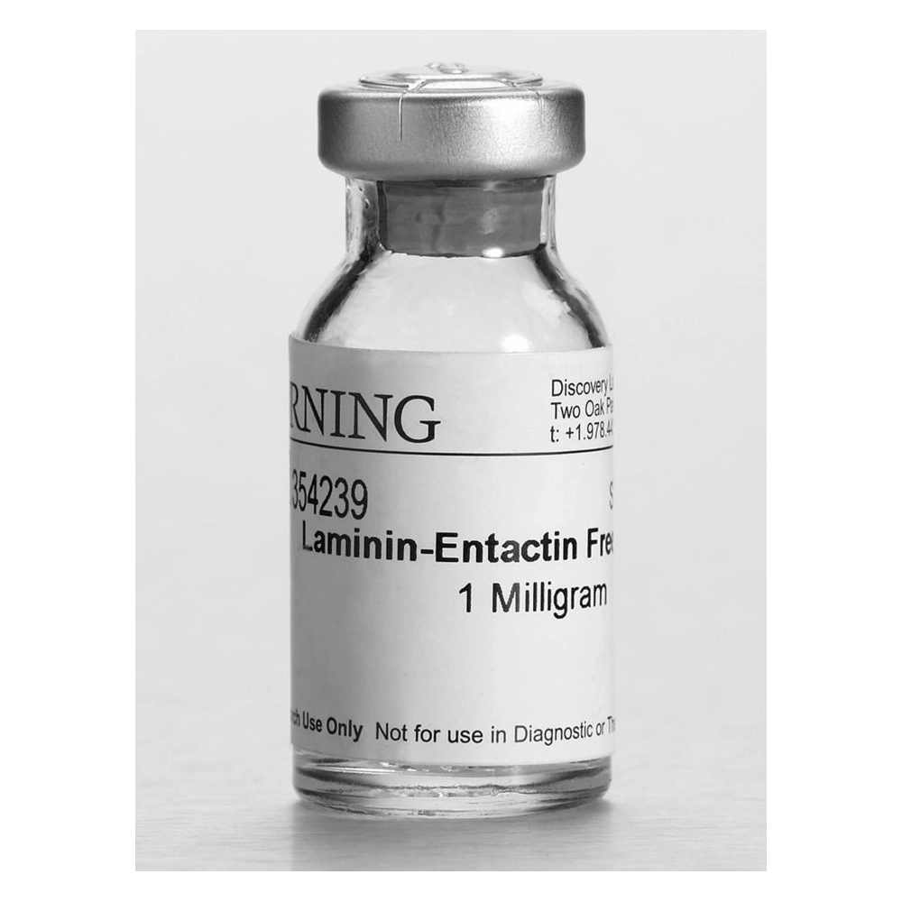 Corning Ultrapure Laminin, Mouse, 1mg