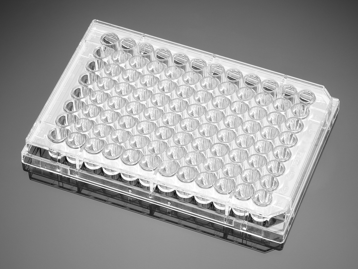 Corning BioCoat Collagen I 96 Well Clear Flat Bottom TC-Treated Microplate, 20/Pack, 80/Case