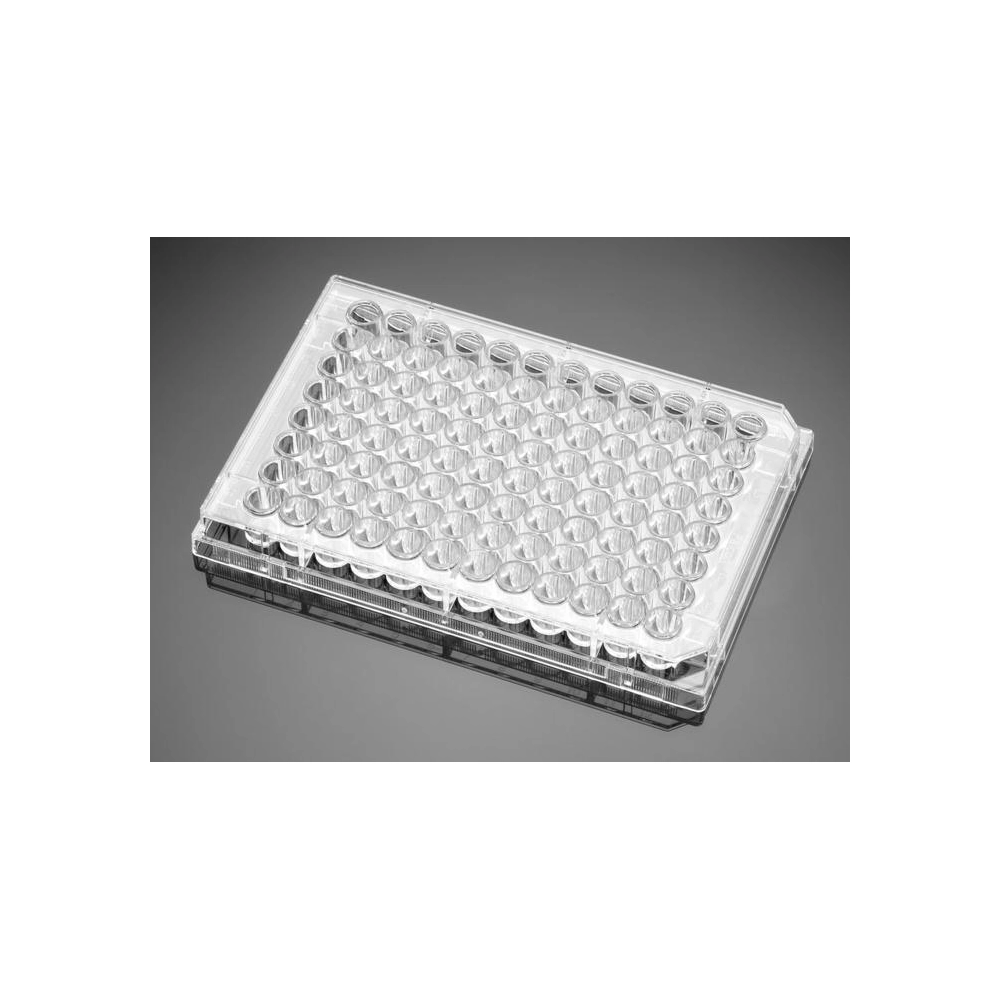 Corning BioCoat Collagen I 96 Well Clear Flat Bottom TC-Treated Microplate, with Lid, 5/Case