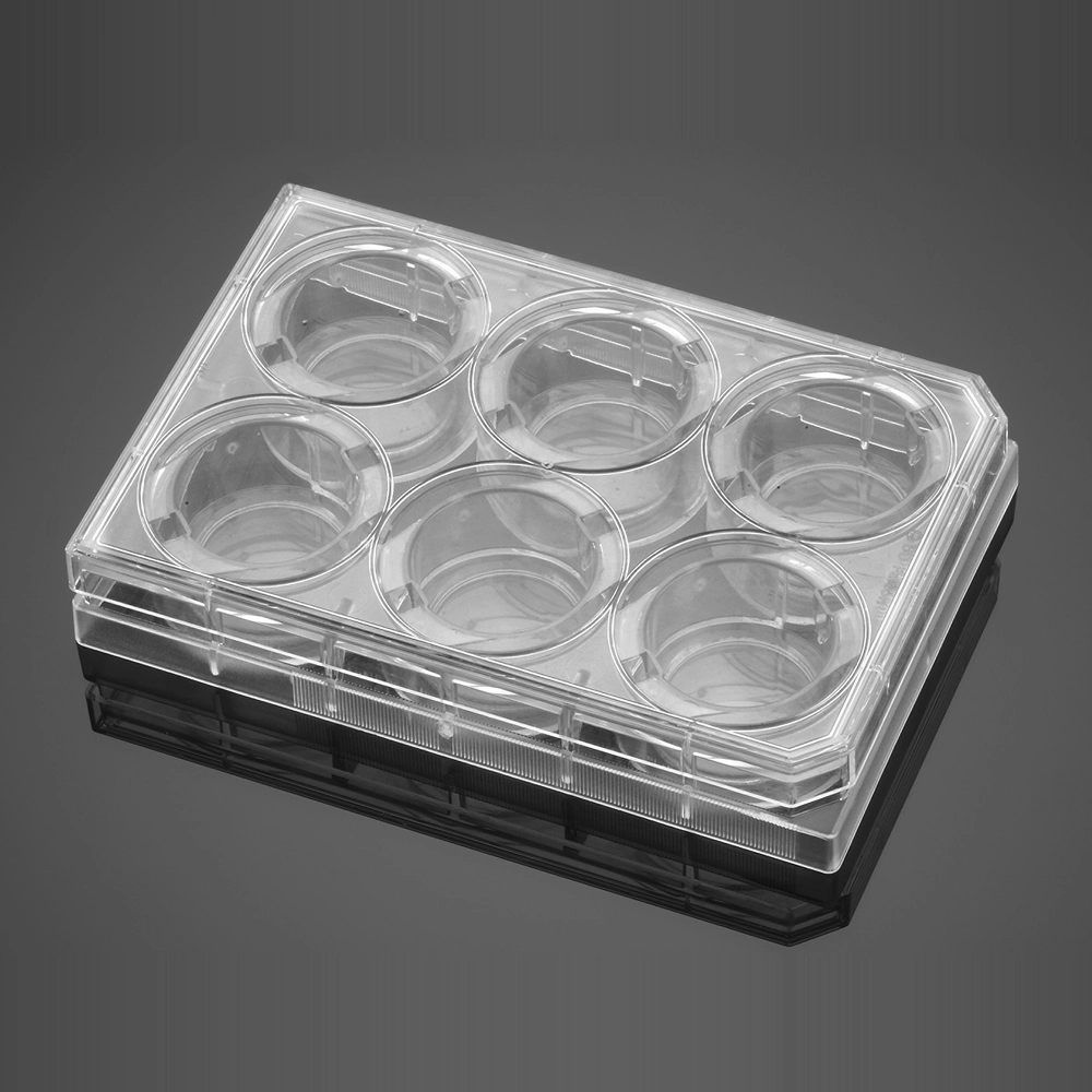 Corning BioCoat Matrix 6 Well Clear Flat Bottom TC-Treated Multiwell Plate, with Lid, 2/Case