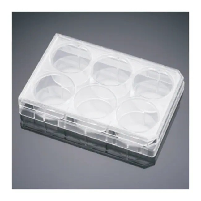 Corning BioCoat Matrigel 6 Well Plate for ES Culture, 5/Case