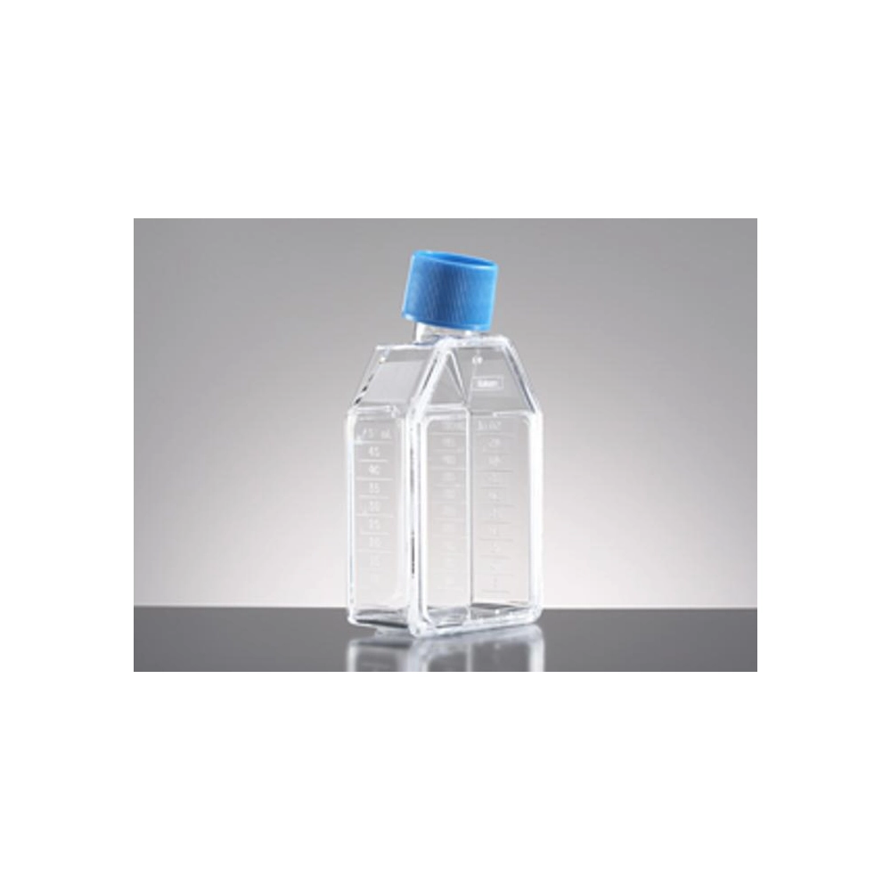 Corning BioCoat Collagen I 25cm² Rectangular Canted Neck Cell Culture Flask with Vented Cap, 10/Pack, 10/Case
