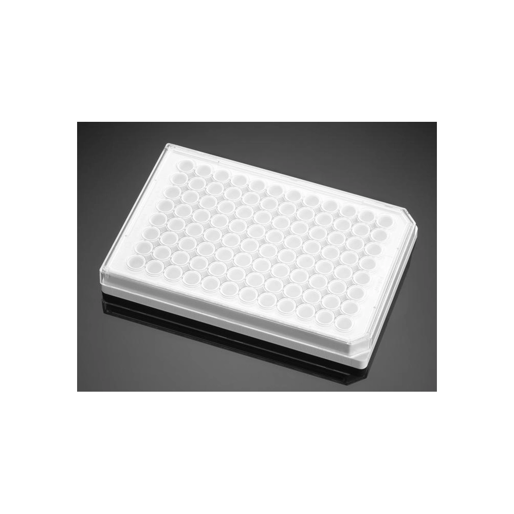 Corning BioCoat Collagen I 96 Well White/Opaque Flat Bottom TC-Treated Microplate, with Lid, 5/Case