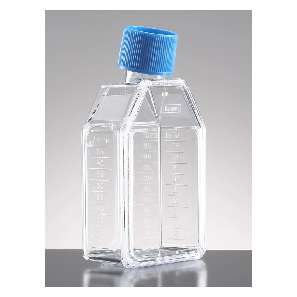 Corning BioCoat Poly-D-Lysine 25cm² Rectangular Canted Neck Cell Culture Flask with Vented Cap