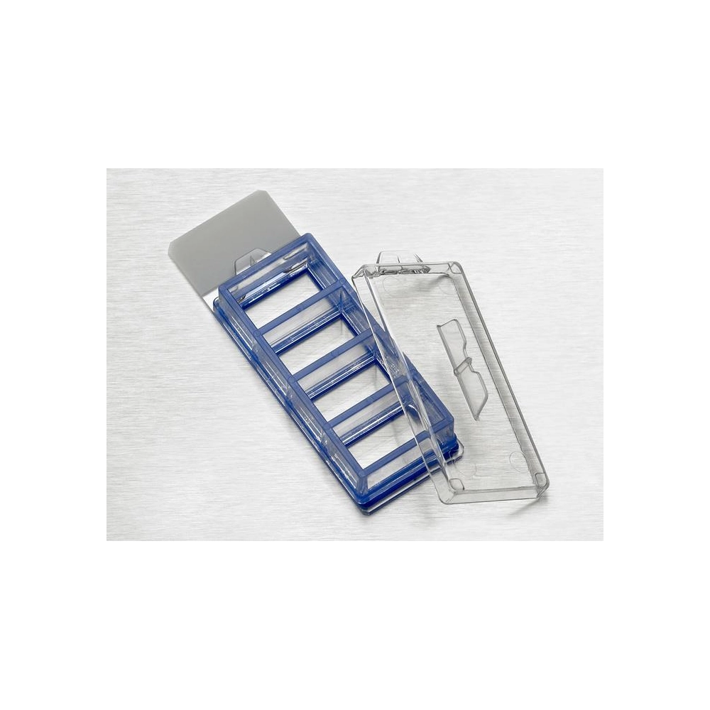 Corning BioCoat Poly-D-Lysine 8 Well CultureSlide, 4/Pack, 12/Case