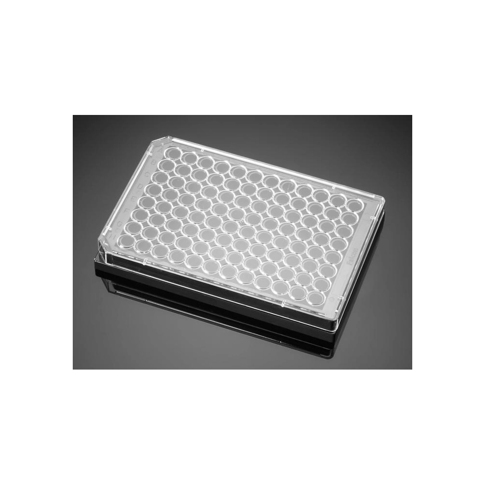 Corning BioCoat Collagen I 96 Well Black/Clear Flat Bottom TC-Treated Microplate, with Lid, 5/Case