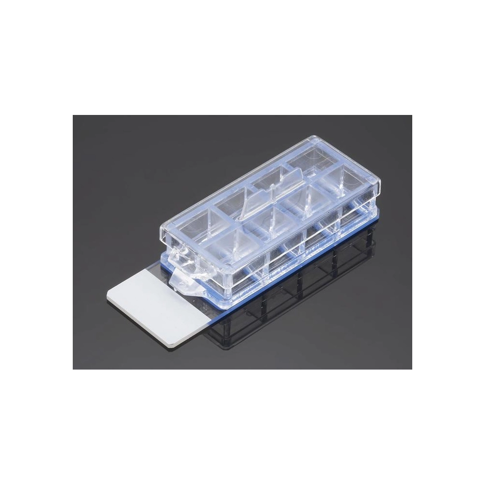 Corning BioCoat Poly-D-Lysine/Laminin 8 Well CultureSlide, 4/Pack, 12/Case