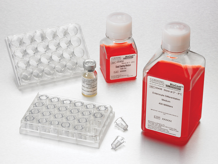 Corning Intestinal Differentiation Media Pack, Kit