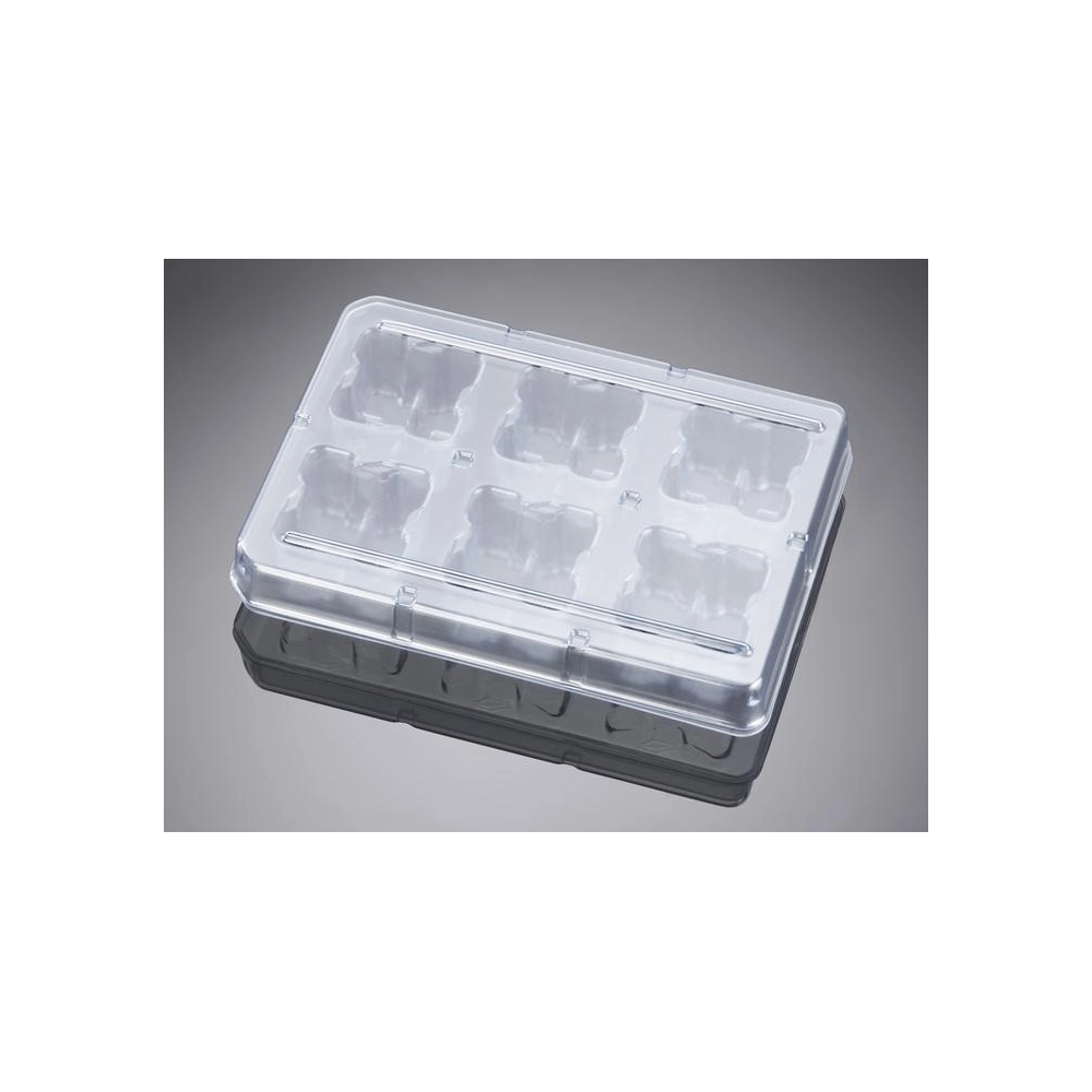 Falcon 6 Well Deep Well TC-Treated Polystyrene Plate, 4/Pack, 4/Case