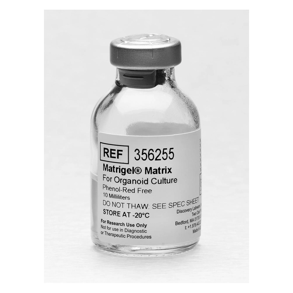 Corning Matrigel Matrix For Organoid Culture Phenol Red-Free, 10mL