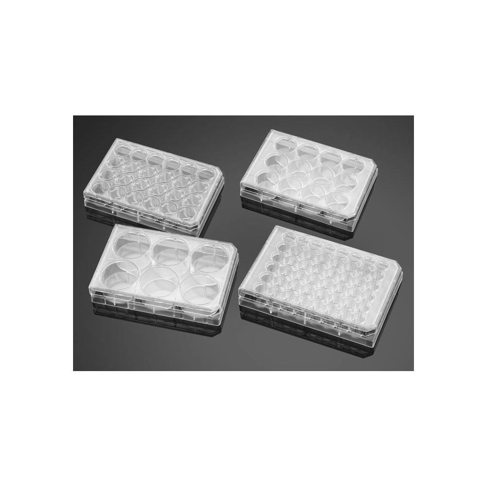 Corning BioCoat Poly-D-Lysine 48 Well Clear Flat Bottom TC-Treated Multiwell Plate, with Lid, 5/Pack, 50/Case
