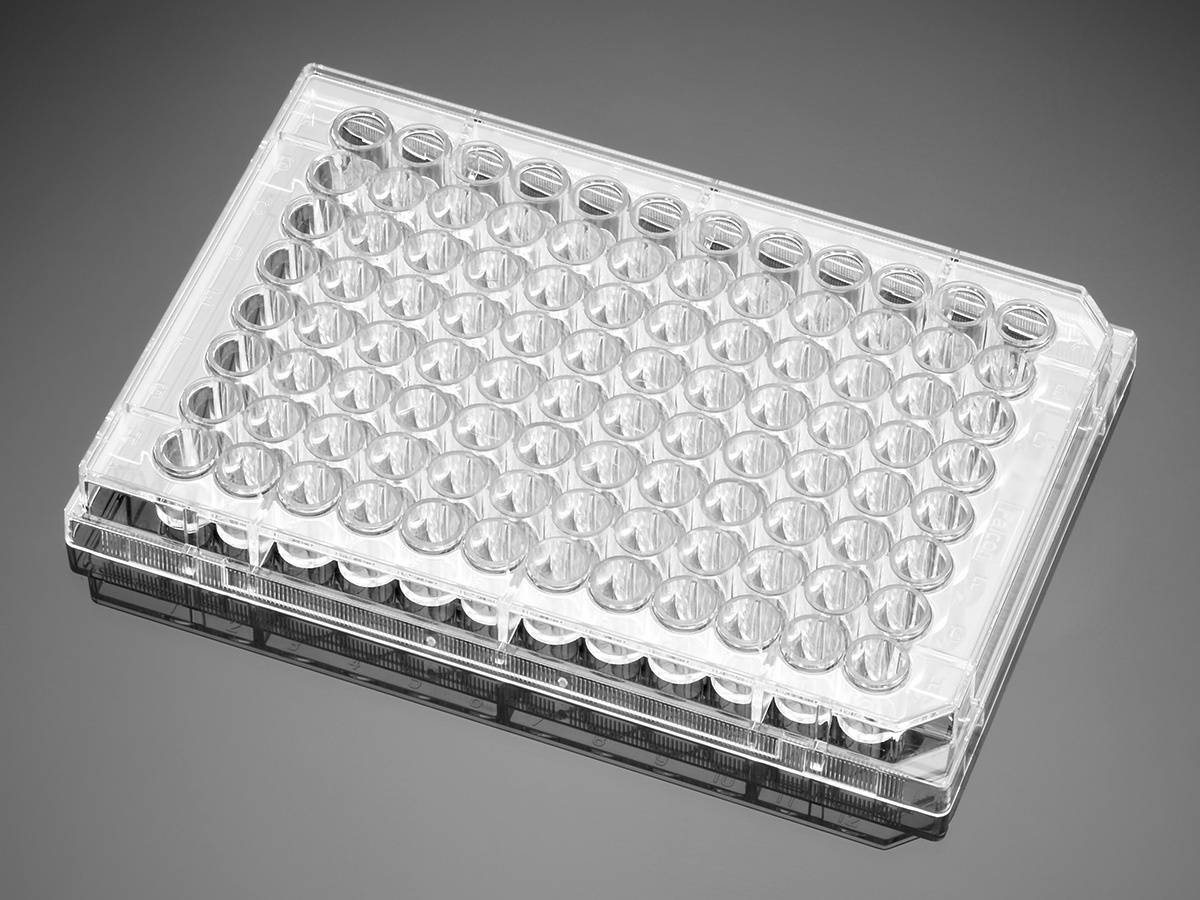 Corning BioCoat Poly-D-Lysine 96 Well Clear Flat Bottom Microplate, 20/Pack, 80/Case