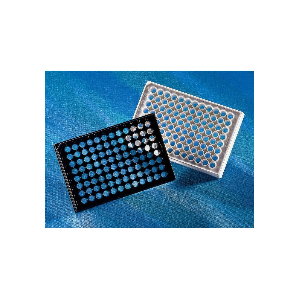 Corning 96 Well Flat Clear Bottom White Polystyrene TC-Treated Microplates, Individually Wrapped, with Lid, Sterile