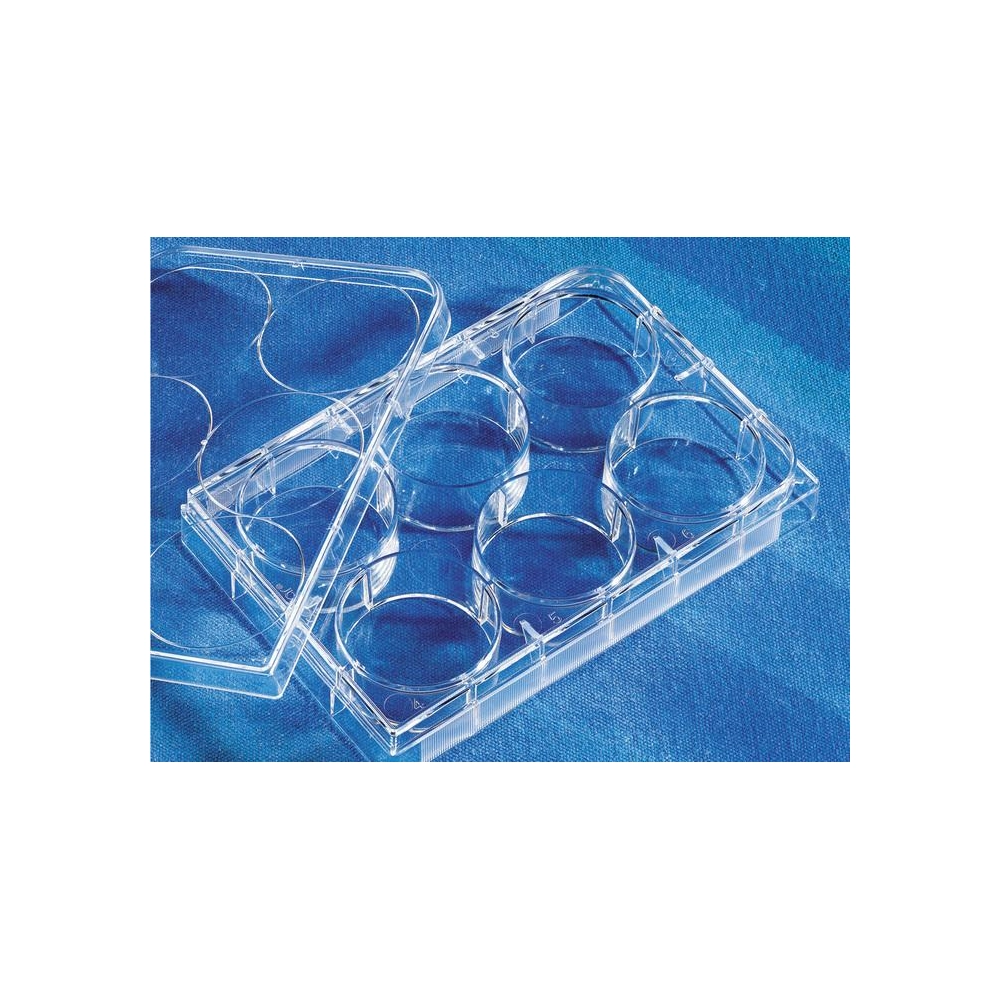 Costar 6 Well Clear Not Treated Multiple Well Plates with Lid, Sterile, Bulk Packed, 5/Bag, 100/Case