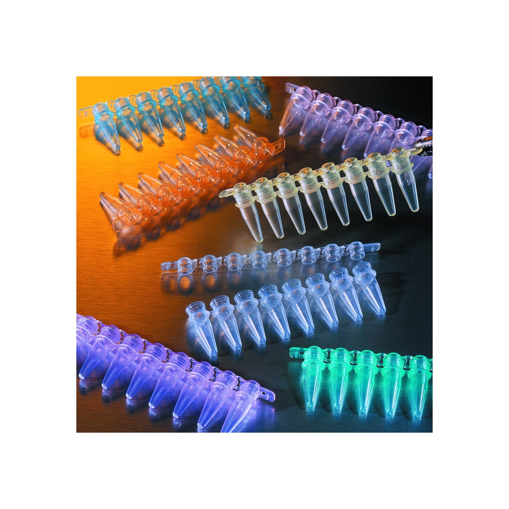 Thermowell GOLD 0.2µmL Polypropylene PCR Tubes, 8 Well Strips, Assorted Colors