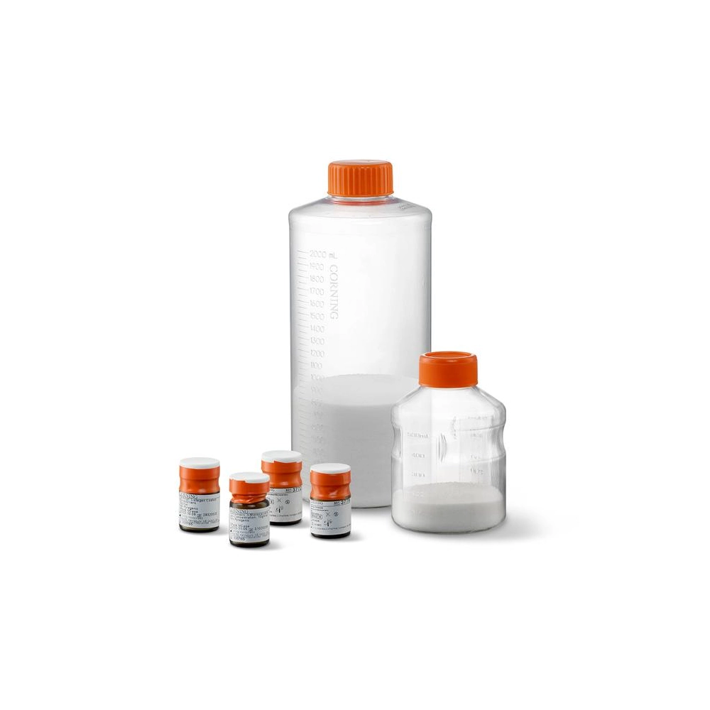 Corning Collagen Coated Microcarriers, 10g Vial