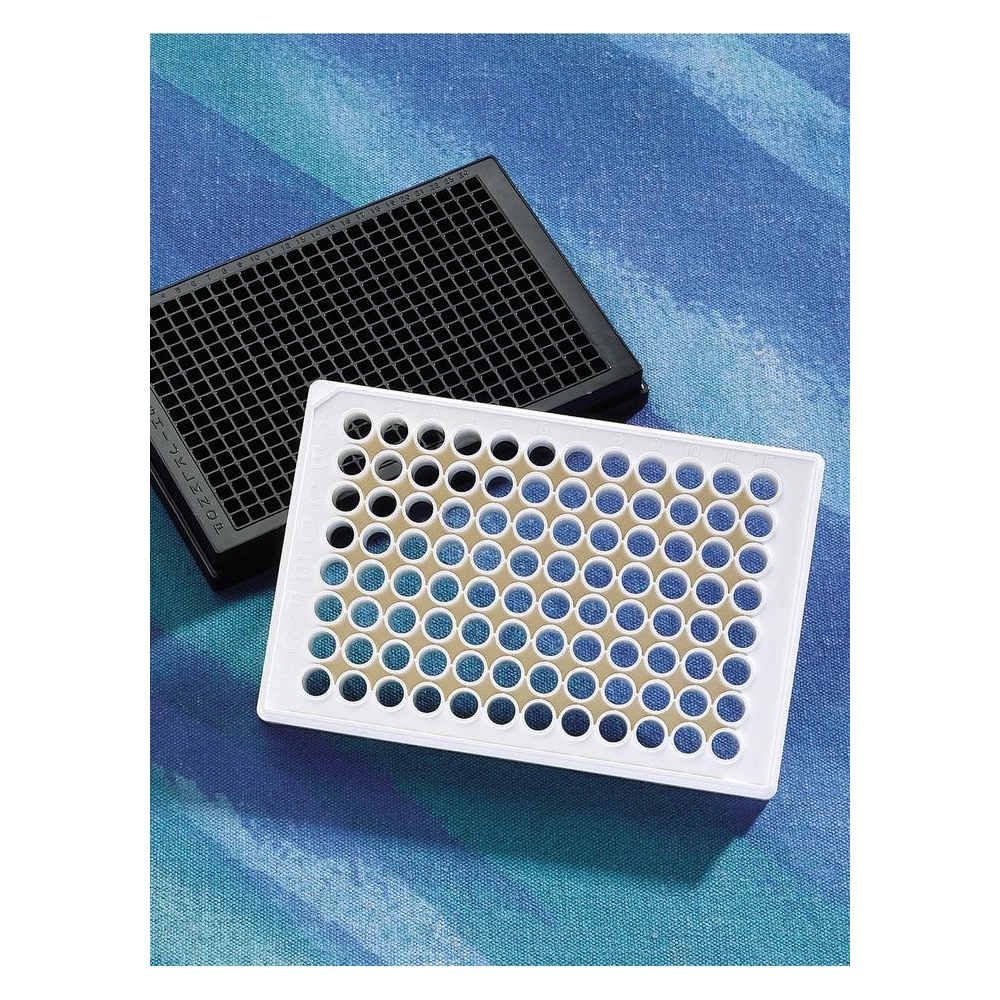 Corning 96 Well Flat Clear Bottom White Polystyrene Poly-D-Lysine Coated Microplates, 20 per Bag, with Lid, Aseptically Manufactured