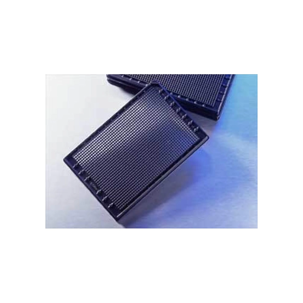 Corning 1536 Well Black with Clear Flat Bottom Polystyrene Not Treated Microplate, 10 per Bag, without Lid, Nonsterile