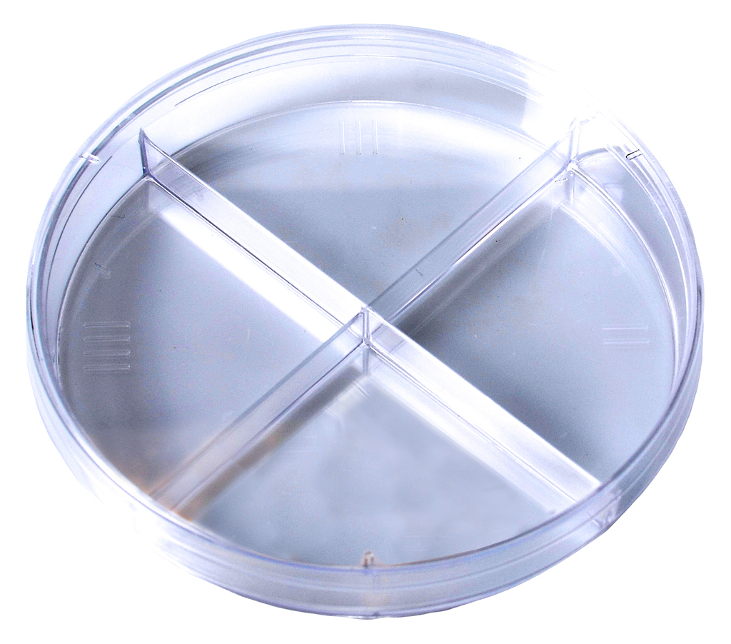 Quad Plate Petri Dish, No Rim for Automation, 100 x 15