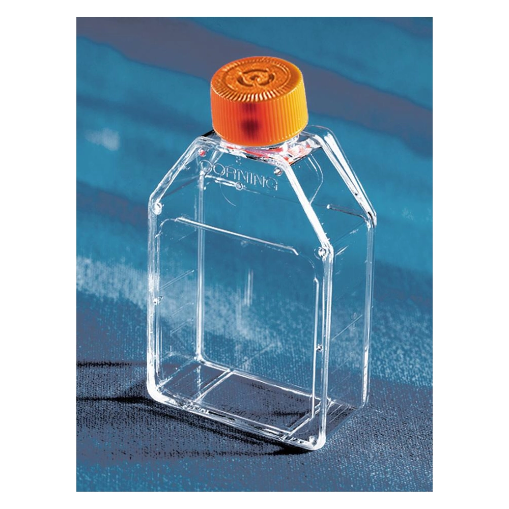 Corning 25cm Rectangular Canted Neck Cell Culture Flask with Vent Cap