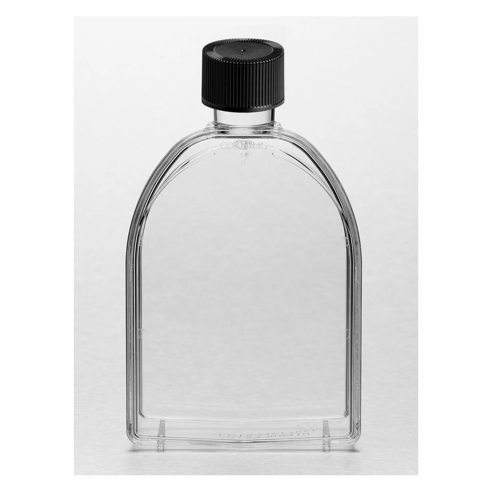 Corning 75cm U-Shaped Canted Neck Cell Culture Flask with Phenolic-Style Cap