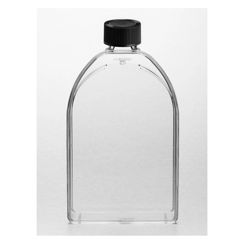 Corning 150cm Canted Neck Cell Culture Flask with Phenolic-Style Cap