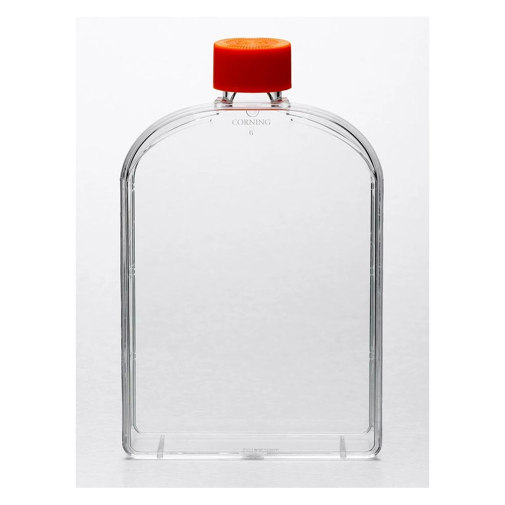 Corning 175cm Angled Neck Cell Culture Flask with Vent Cap