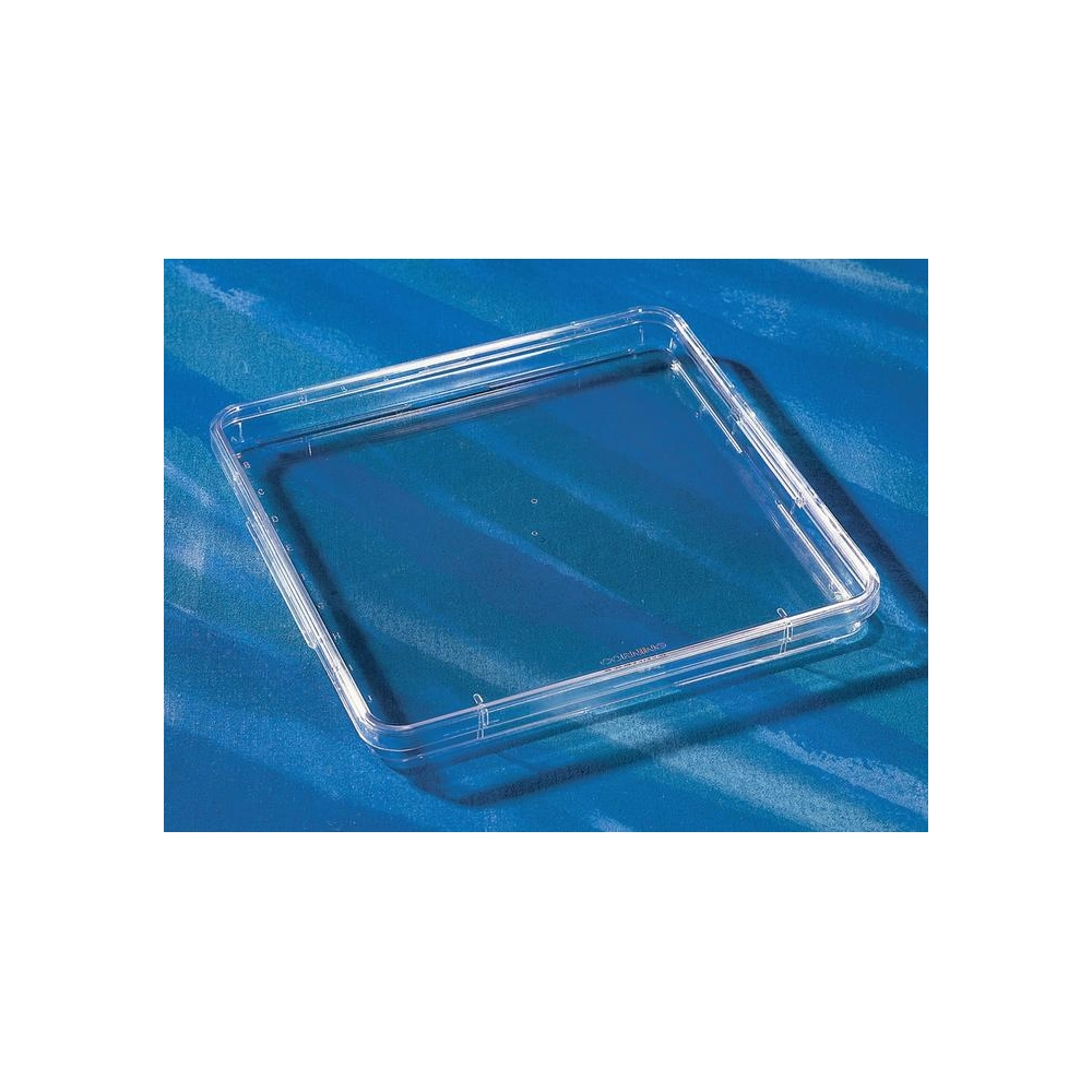 Corning 245mm Square Low Profile BioAssay Dish without Handles, not Tissue Culture-Treated , Bulk Packaged, 5/Bag, 20/Case