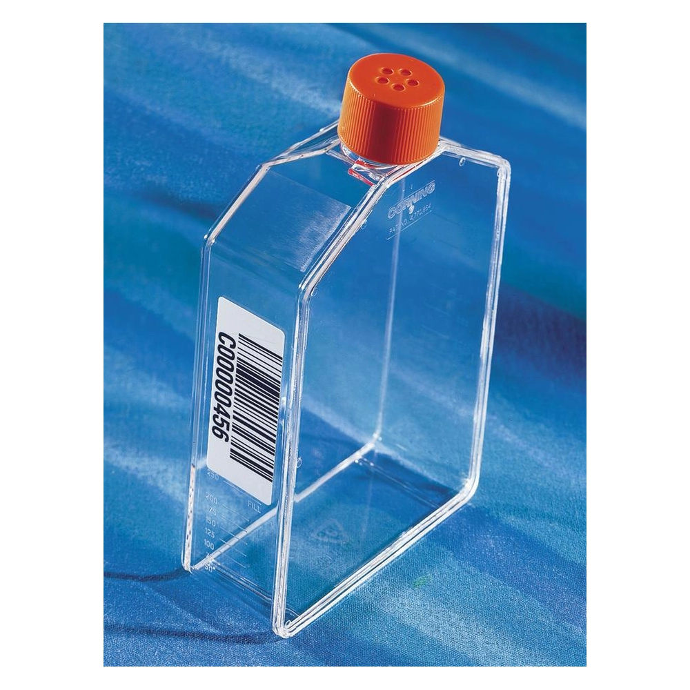 Corning CellBIND 175cm Angled Neck Cell Culture Flask with Vented Cap and Bar Code, 7/Pack, 84/Case