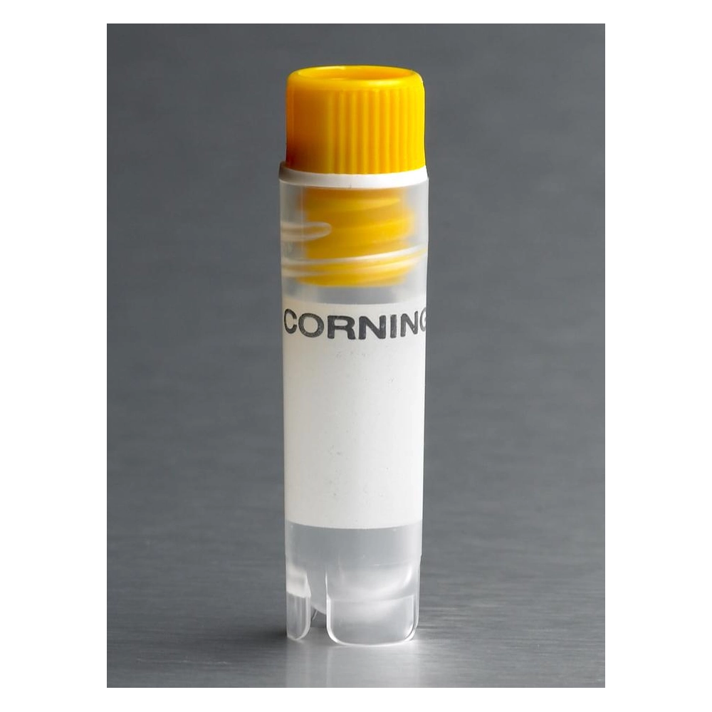 Corning 2mL Yellow Cap Internal Threaded Polypropylene Cryogenic Vial, Self-Standing with Round Bottom