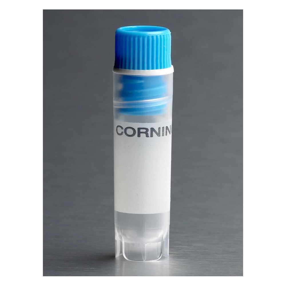 Corning 2mL Blue Cap Internal Threaded Polypropylene Cryogenic Vial, Self-Standing with Round Bottom