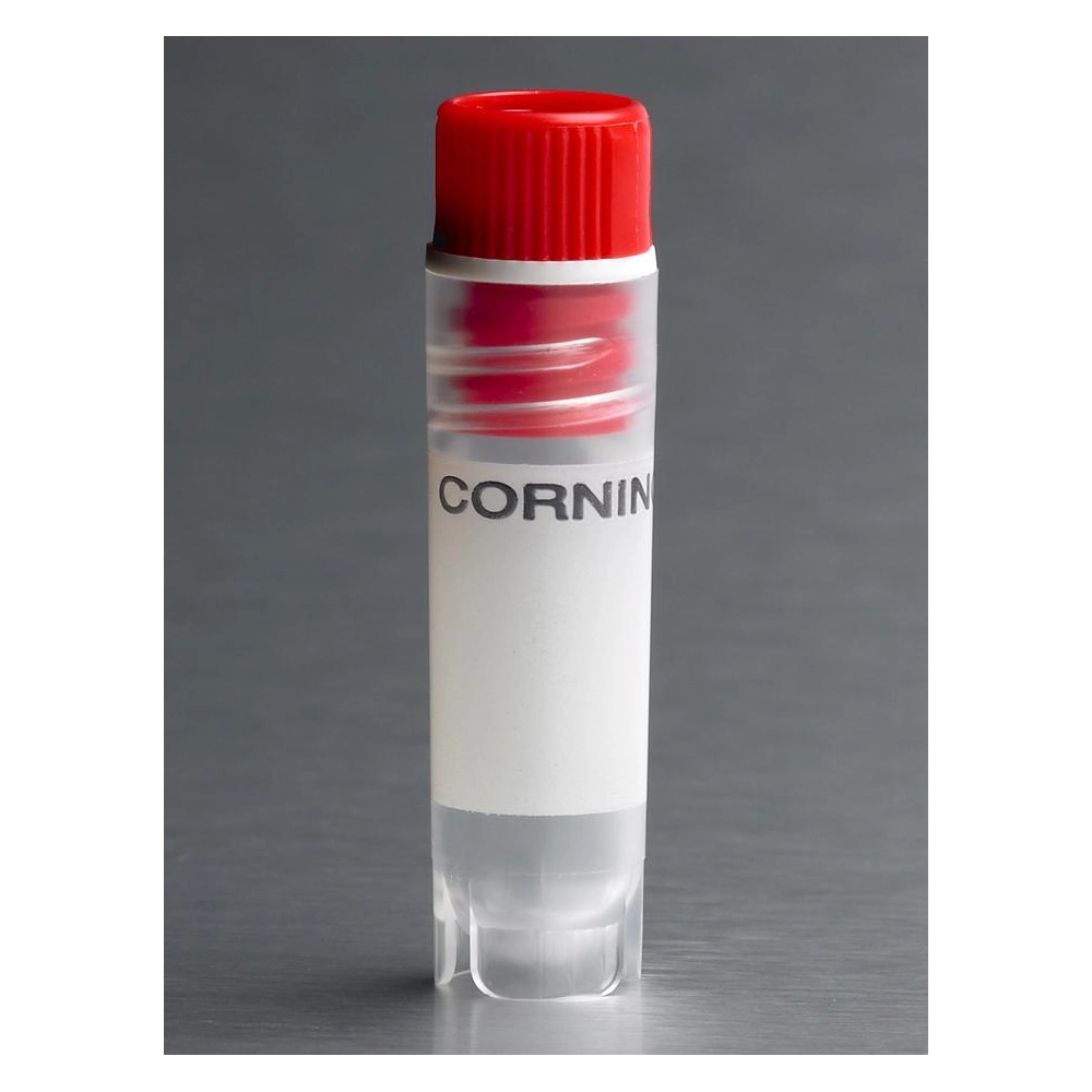 Corning 2mL Red Cap Internal Threaded Polypropylene Cryogenic Vial, Self-Standing with Round Bottom