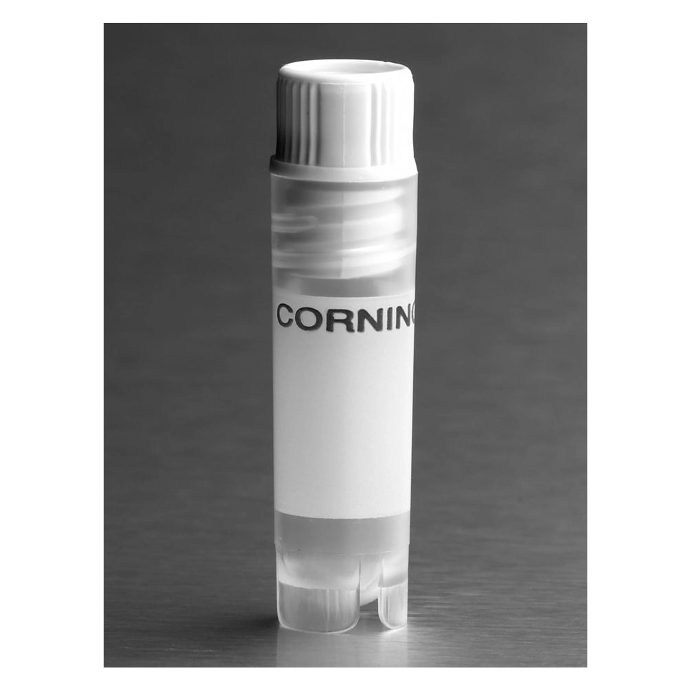 Corning 2mL White Cap Internal Threaded Polypropylene Cryogenic Vial, Self-Standing with Round Bottom