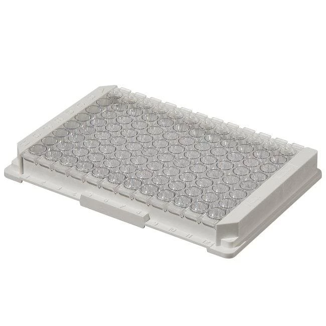 Module Plate Nunc Immuno MaxiSorp C8x12 StarWell w/Frm NS PS Cert 350 ul Well