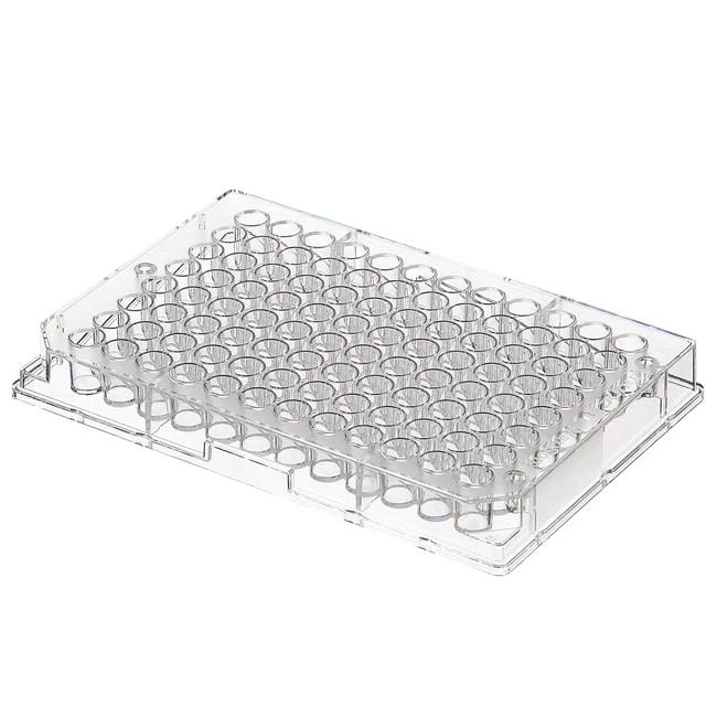 96 Well Plt PS Immuno MaxiSorp NS w/o Lid Clr F96 PB 400 ul Well