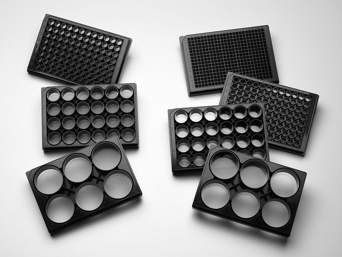 Portrait adapter stainless steel plate