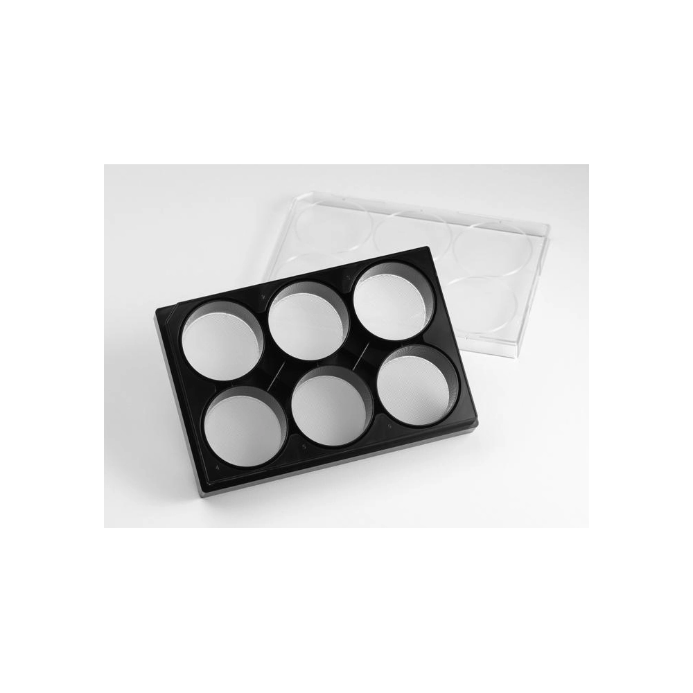 Corning 6 Well Black Clear Round Bottom Ultra-Low Attachment Micro-Cavity plate