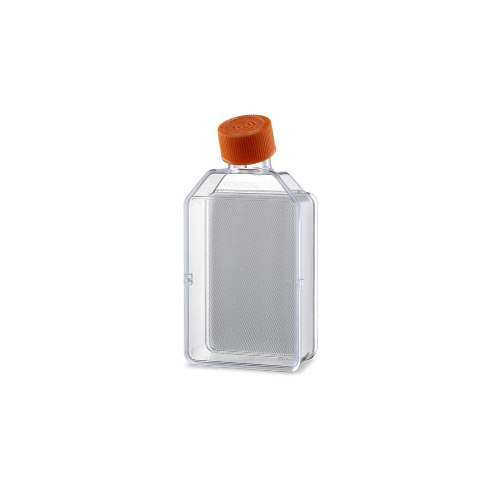 Corning Elplasia Round Bottom, Ultra-Low Attachment, Flask, 12K, 850µm Diameter, 650µm Depth, Ind Packaged, Sterile, 1/5