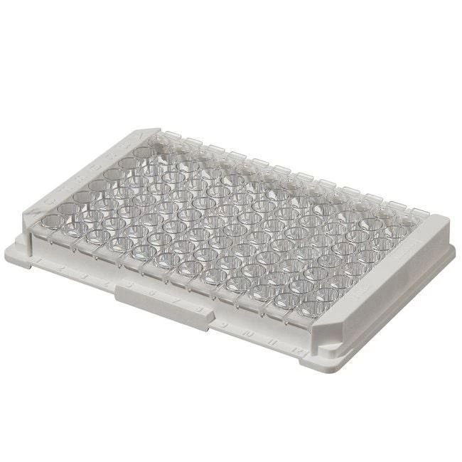 Module Plate Nunc Immuno MaxiSorp F16x6 w/Frm NS PS Cert 400 ul Well