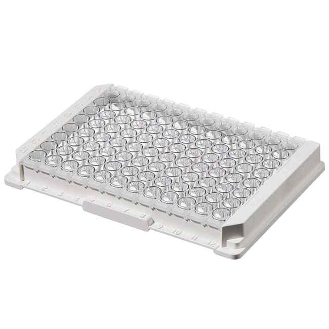 Module Plate Nunc Immuno PolySorp F8x12 w/Frm NS PS 400 ul Well