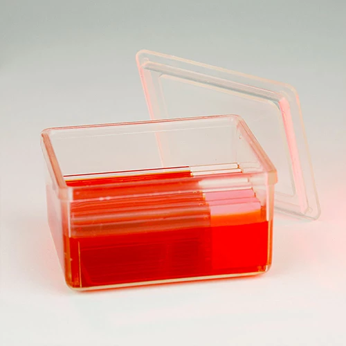 Slide Staining Jar with Lid, PMP, for 10 slides (20 back-to-back), Schifferdecker Type - CS/20