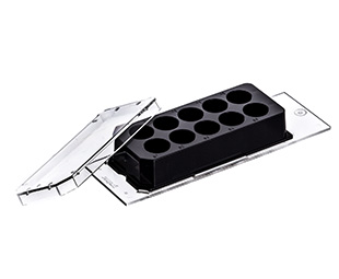 CELLVIEW SLIDE,GLASS BOT,10 COMPART,TC,S