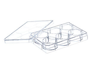 TC-PLATE, 6 WELL,STERILE WITH LID, 5 PCS