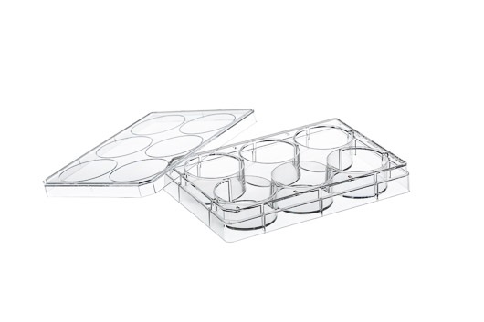 6 WELL PLATE, REPELLENT, W. LID, STERILE