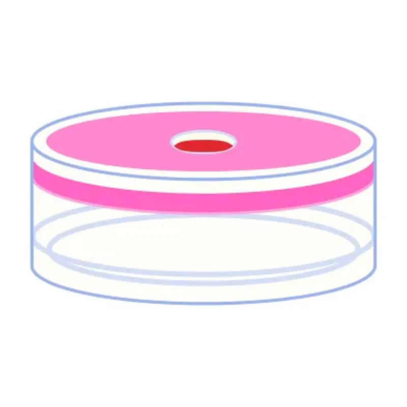 N20 PE Cap for crimp neck vials with beveled top N 20 transparent