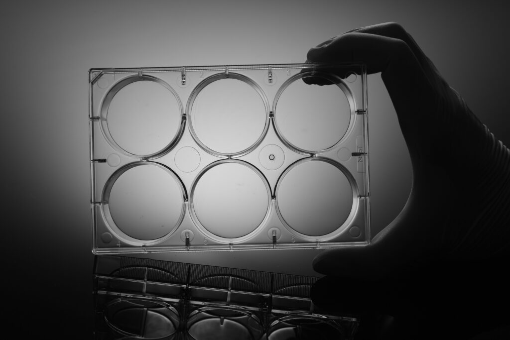 6 Well Cell Culture Plate,Flat,Non-Treated, sterile 1/pk, 50/cs