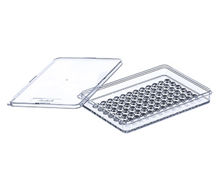 PP-MASTERBLOCK, 1,0 ML 127,8/86 MM,