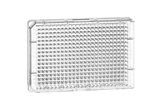 PP MICROPLATE,384 WELL 127,8/86 MM 120µl