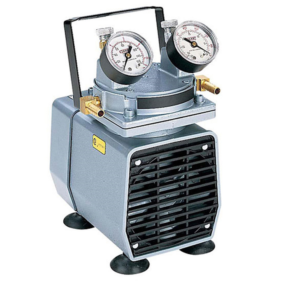 Gast Vacuum Pressure Pump, 220V