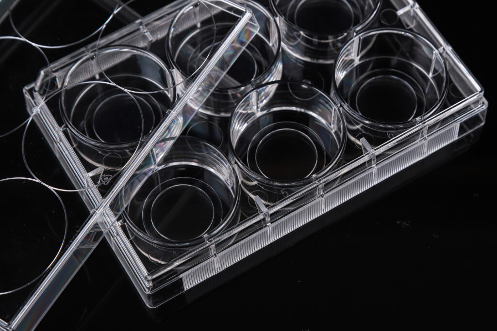 6 Well Glass Bottom Cell Culture Plate,¦ 20mm,TC, sterile 1/pk, 10/cs